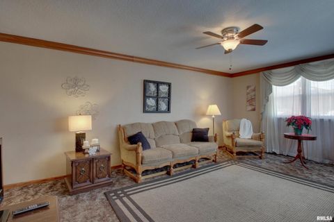 Tiny photo for 523 TEMPLE Street, Quincy, IL 62305 (MLS # QC4269964)