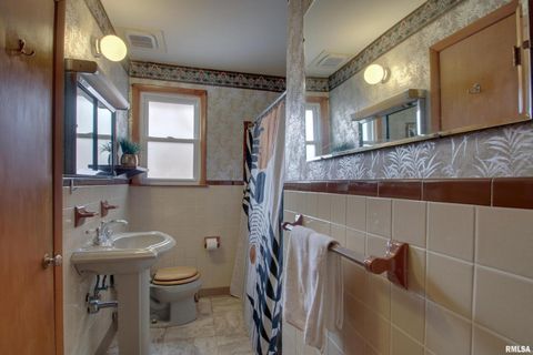 Tiny photo for 523 TEMPLE Street, Quincy, IL 62305 (MLS # QC4269964)