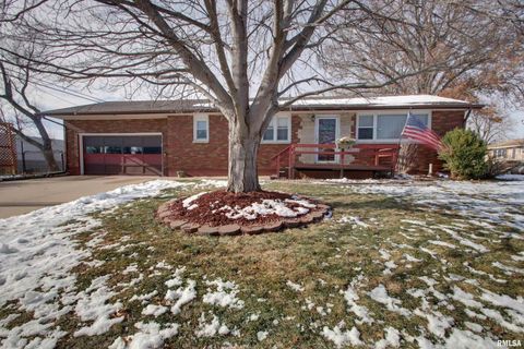 Tiny photo for 523 TEMPLE Street, Quincy, IL 62305 (MLS # QC4269964)