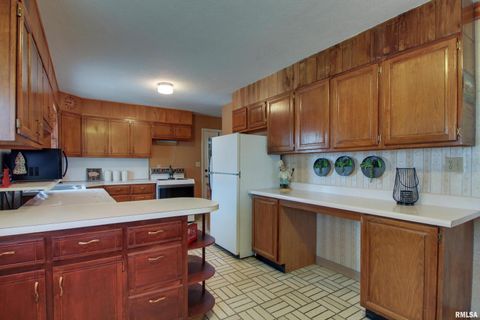 Tiny photo for 523 TEMPLE Street, Quincy, IL 62305 (MLS # QC4269964)