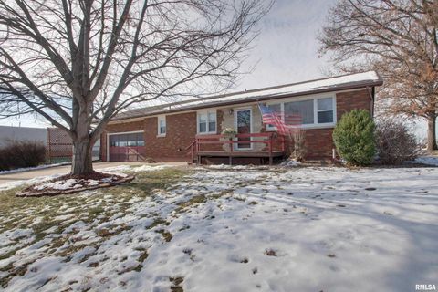 Tiny photo for 523 TEMPLE Street, Quincy, IL 62305 (MLS # QC4269964)