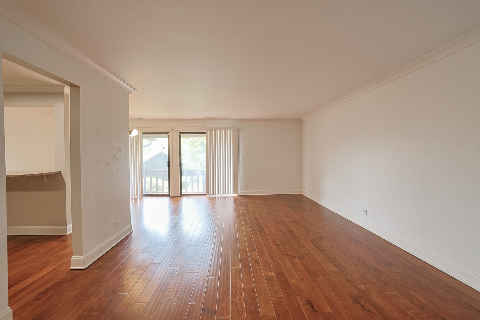 3101 Toulon Drive B2