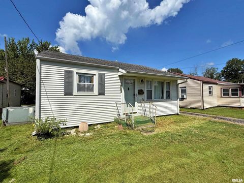 Tiny photo for 1603 FERRY Street, Metropolis, IL 62960 (MLS # EB459250)