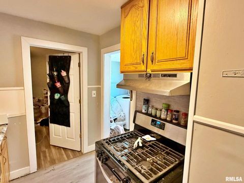 Tiny photo for 1603 FERRY Street, Metropolis, IL 62960 (MLS # EB459250)