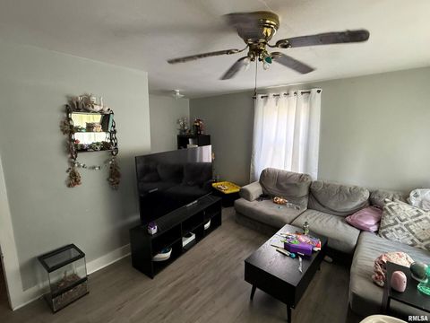 Tiny photo for 1603 FERRY Street, Metropolis, IL 62960 (MLS # EB459250)