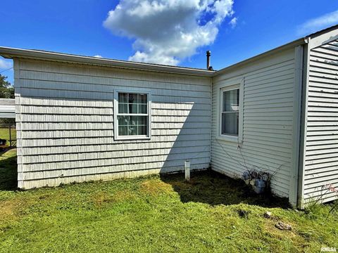 Tiny photo for 1603 FERRY Street, Metropolis, IL 62960 (MLS # EB459250)