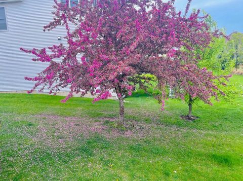 Tiny photo for 523 Mallard Point Drive, North Aurora, IL 60542 (MLS # 12586112)