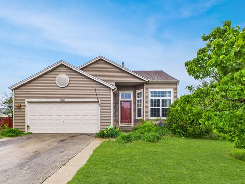 364 Coneflower Drive Minooka IL 60447