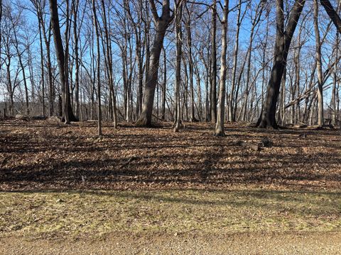 1783 Blueberry Drive Varna IL 61375