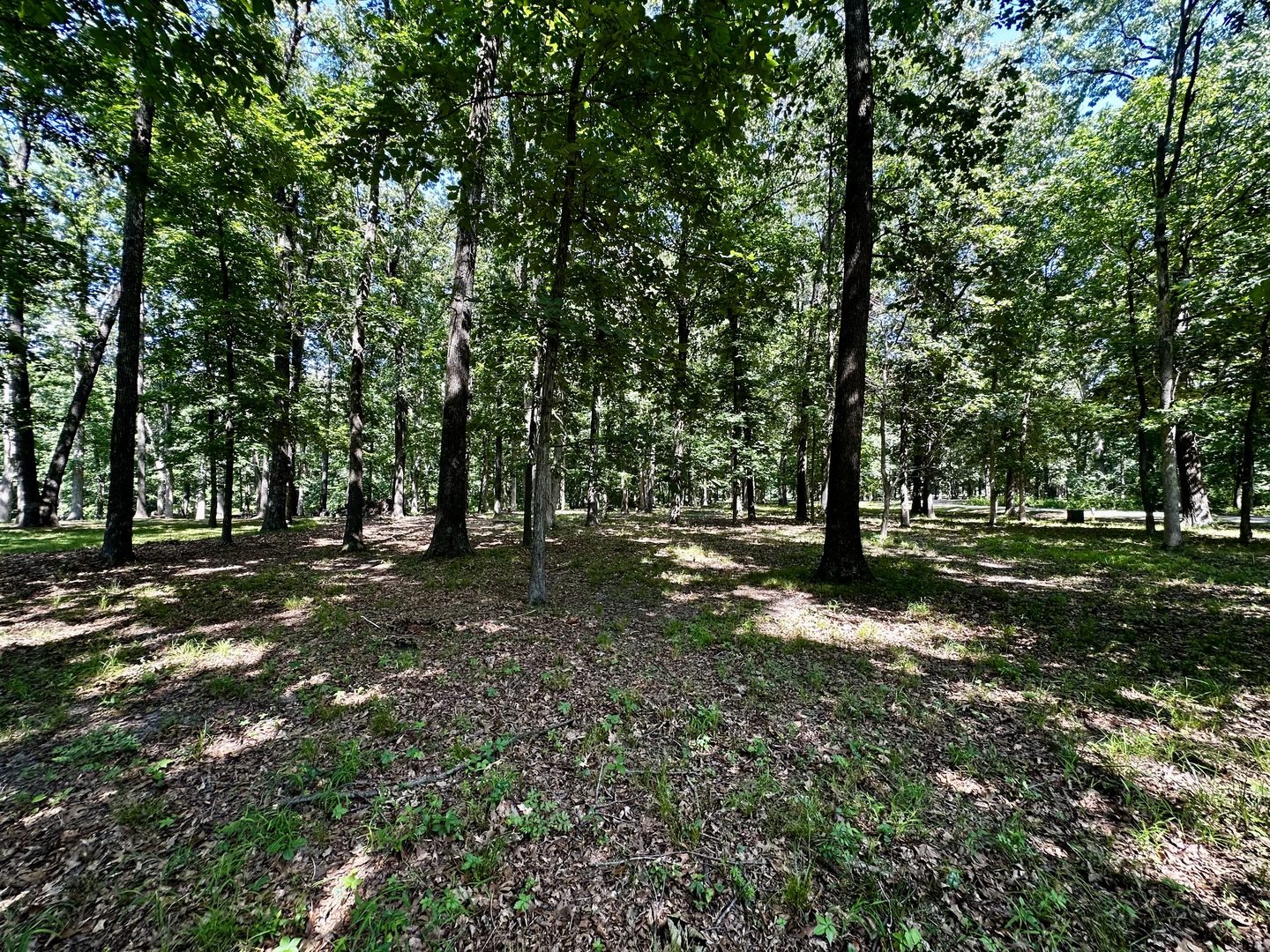 220 Beyers Lake Est
