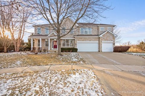Photo of 7 Birchwood Court, Lake In The Hills, IL 60156 (MLS # 12545048)