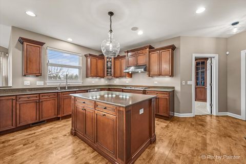 Tiny photo for 7 Birchwood Court, Lake In The Hills, IL 60156 (MLS # 12545048)