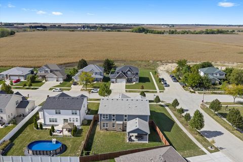 Tiny photo for 405 Locust Lane, Peotone, IL 60468 (MLS # 12491917)