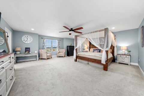Tiny photo for 405 Locust Lane, Peotone, IL 60468 (MLS # 12491917)