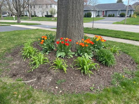 Tiny photo for 1256 Whitingham Circle, Naperville, IL 60540 (MLS # 12587149)