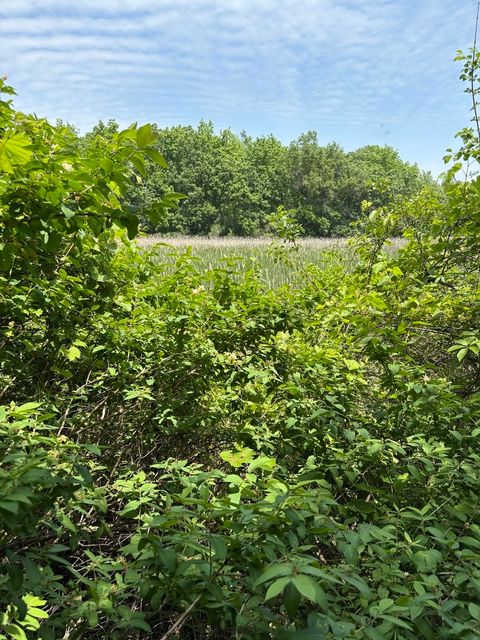Tiny photo for 17230 W Il Route 173 Route, Old Mill Creek, IL 60083 (MLS # 12535033)