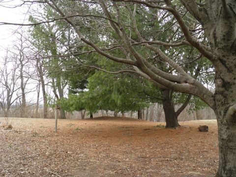 Tiny photo for 2264 Ridgeview Drive, Muscatine, IA 52761 (MLS # 12572129)