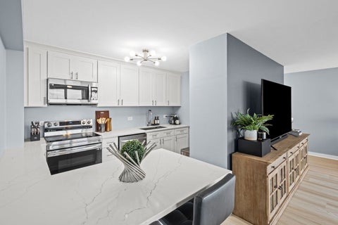 Tiny photo for 4250 N Marine Drive #2730, Chicago, IL 60613 (MLS # 12748932)