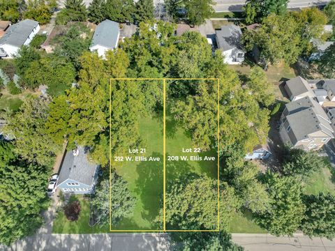 208 W Ellis Avenue Libertyville IL 60048