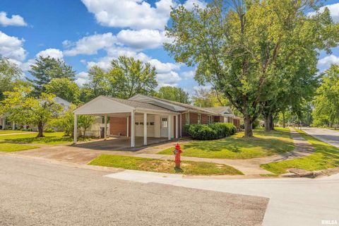 Tiny photo for 301 S GLENVIEW Drive, Carbondale, IL 62901 (MLS # EB458837)