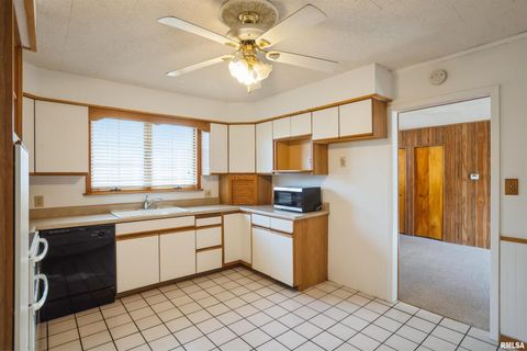 Tiny photo for 837 14TH Avenue S, Clinton, IA 52732 (MLS # QC4269148)