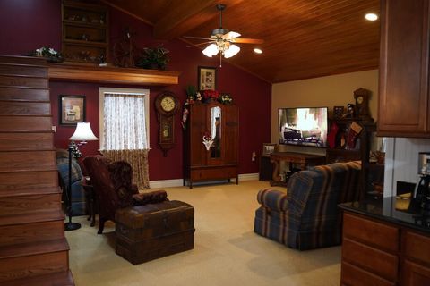 Tiny photo for 25065 Rock Springs Hollow Road, Thebes, IL 62990 (MLS # QC4260120)