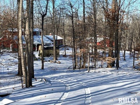 Tiny photo for 25065 Rock Springs Hollow Road, Thebes, IL 62990 (MLS # QC4260120)