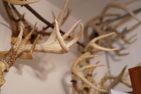 Tiny photo for 25065 Rock Springs Hollow Road, Thebes, IL 62990 (MLS # QC4260120)