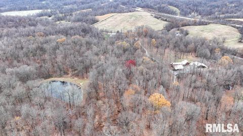 Tiny photo for 25065 Rock Springs Hollow Road, Thebes, IL 62990 (MLS # QC4260120)