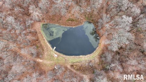 Tiny photo for 25065 Rock Springs Hollow Road, Thebes, IL 62990 (MLS # QC4260120)