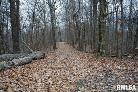 Tiny photo for 25065 Rock Springs Hollow Road, Thebes, IL 62990 (MLS # QC4260120)