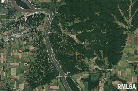 Tiny photo for 25065 Rock Springs Hollow Road, Thebes, IL 62990 (MLS # QC4260120)