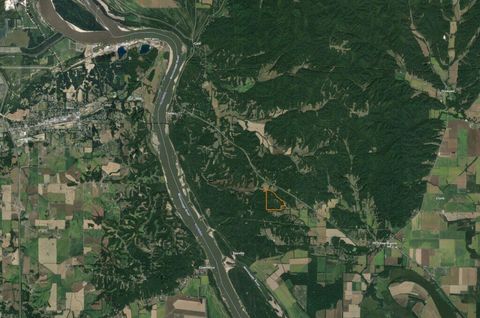 Tiny photo for 25065 Rock Springs Hollow Road, Thebes, IL 62990 (MLS # QC4260120)