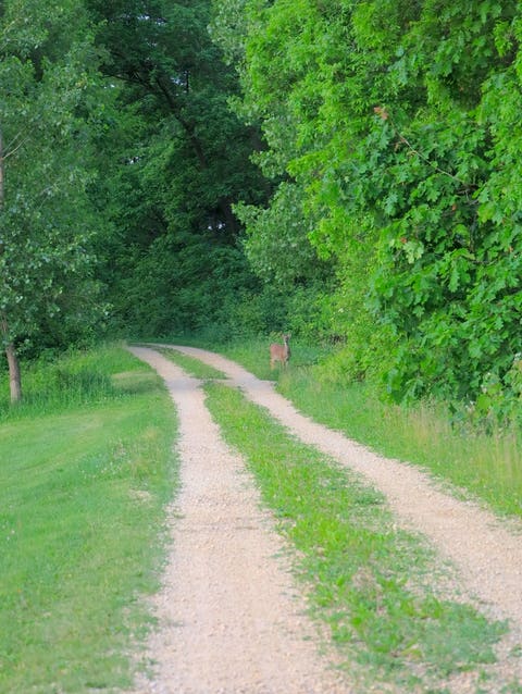 Tiny photo for 9496 S Hanover Hill Road, Hanover, IL 61041 (MLS # 12669253)
