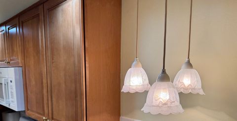 Tiny photo for 825 Pearson Street #3D, Des Plaines, IL 60016 (MLS # 12528534)