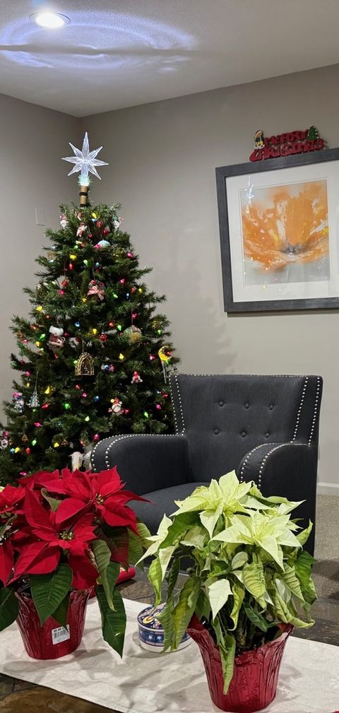 Tiny photo for 825 Pearson Street #3D, Des Plaines, IL 60016 (MLS # 12528534)