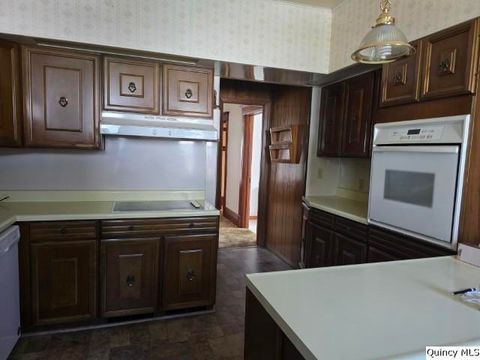Tiny photo for 118 S Fayette Street, Carthage, IL 62321 (MLS # 12433193)
