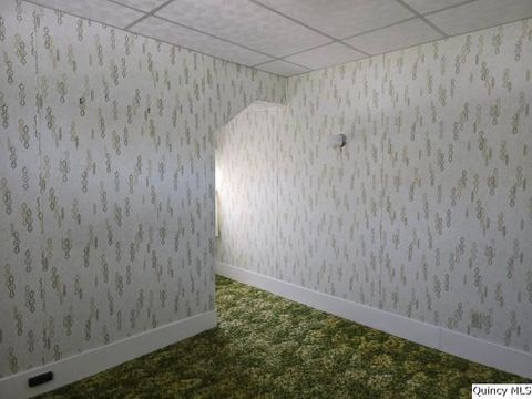Tiny photo for 118 S Fayette Street, Carthage, IL 62321 (MLS # 12433193)