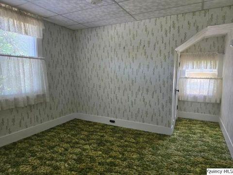 Tiny photo for 118 S Fayette Street, Carthage, IL 62321 (MLS # 12433193)
