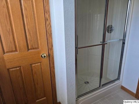 Tiny photo for 118 S Fayette Street, Carthage, IL 62321 (MLS # 12433193)