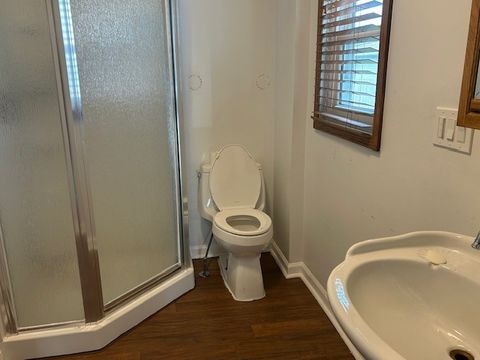 Tiny photo for 313 E CORNING Avenue, Peotone, IL 60468 (MLS # 12541310)