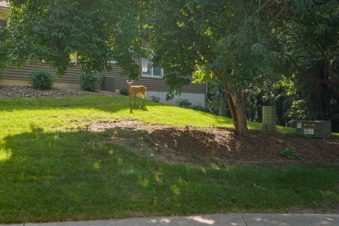 Tiny photo for 31 Thornwood Court #14, Rock Island, IL 61201 (MLS # 12742493)