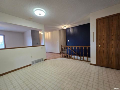 Tiny photo for 301 4TH Street #4, Fulton, IL 61252 (MLS # QC4265566)