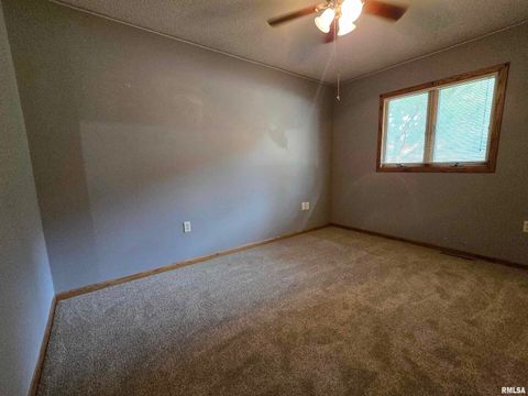 Tiny photo for 301 4TH Street #4, Fulton, IL 61252 (MLS # QC4265566)