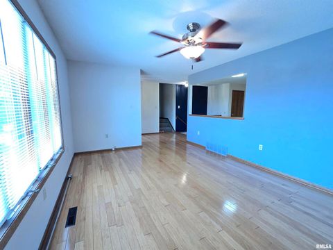 Tiny photo for 301 4TH Street #4, Fulton, IL 61252 (MLS # QC4265566)