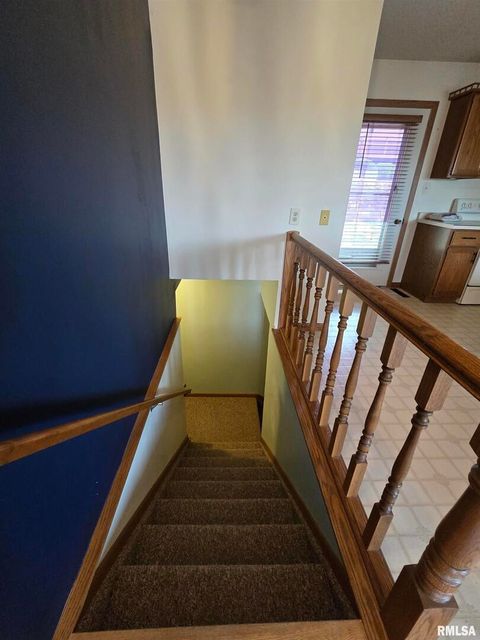 Tiny photo for 301 4TH Street #4, Fulton, IL 61252 (MLS # QC4265566)