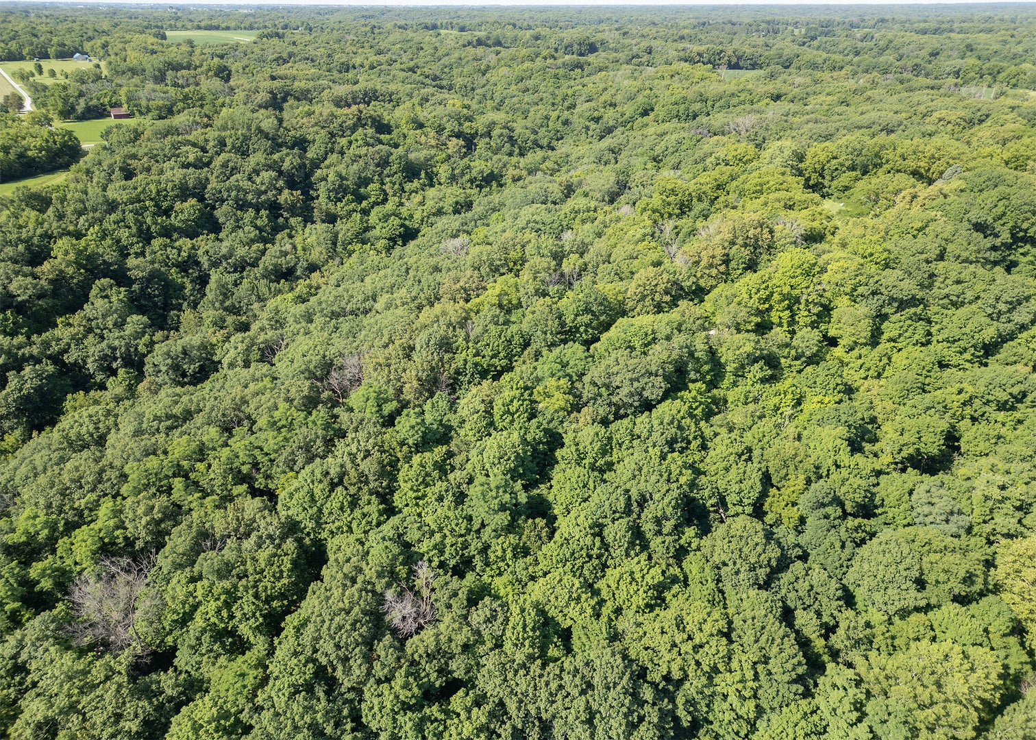 Lot 110 80th Avenue W