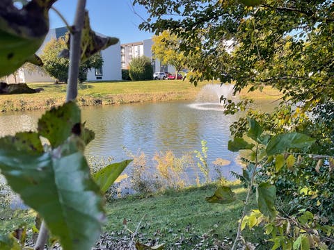 Tiny photo for 1066 Foxworth Boulevard, Lombard, IL 60148 (MLS # 12656957)