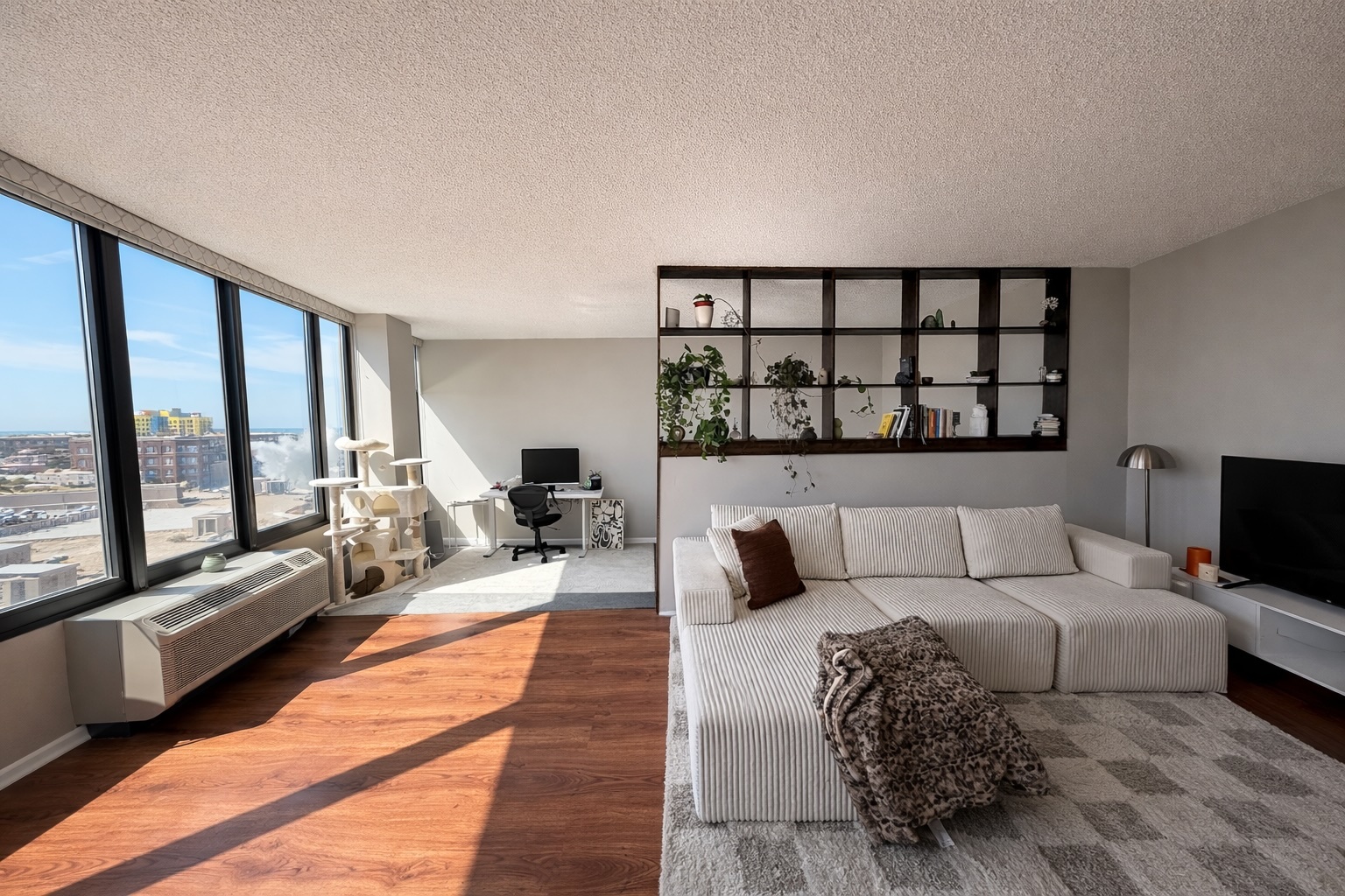 5320 N Sheridan Road 910