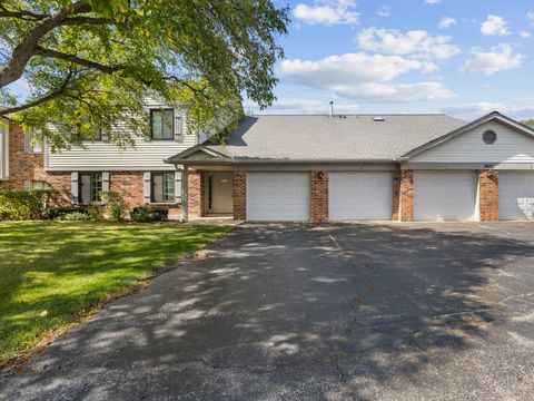 1631 W Partridge Court 8 Arlington Heights IL 60004